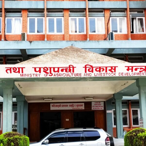 खाद्य तथा दाना उद्योगको अनलाइन अनुमति प्रणाली सञ्चालनमा