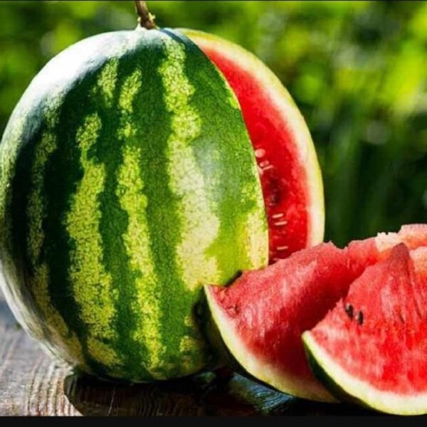 यस्ता छन गर्मीमा प्रकृतिको शीतलता दिने खरबुजा खानुका फाइदा