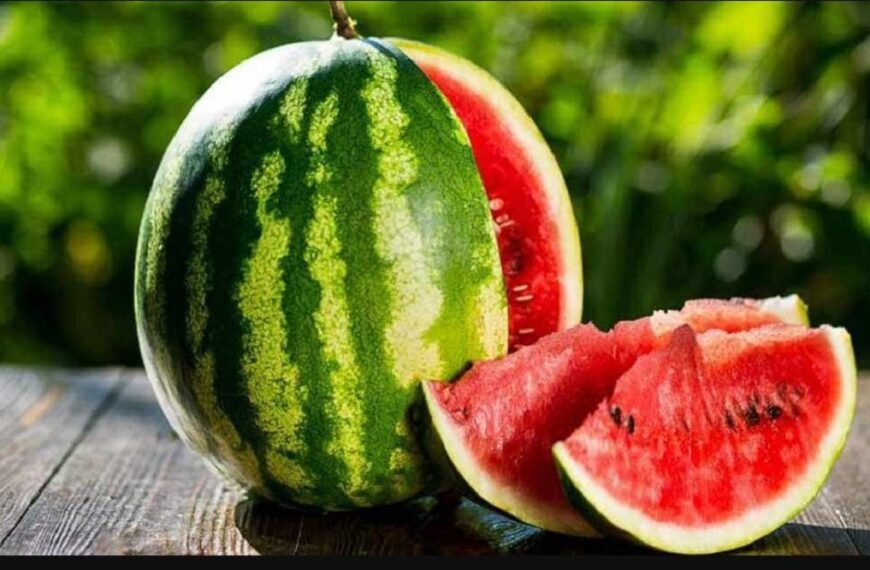 यस्ता छन गर्मीमा प्रकृतिको शीतलता दिने खरबुजा खानुका फाइदा