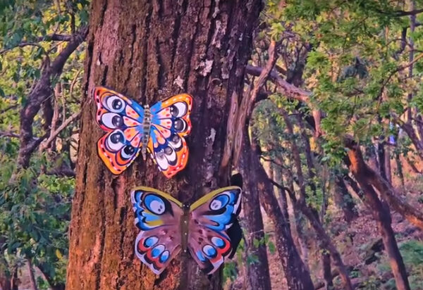 बुढीतोलाका सम्भावना उजागर गर्न पर्यटन महोत्सव
