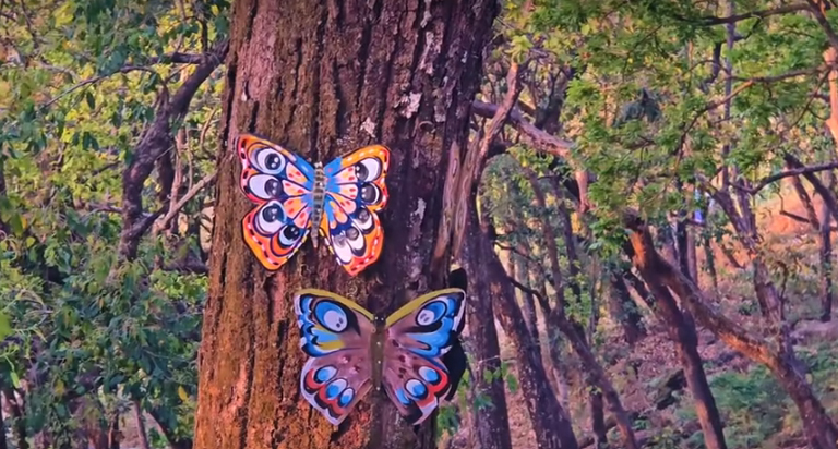 बुढीतोलाका सम्भावना उजागर गर्न पर्यटन महोत्सव