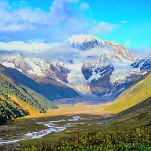 युवालाई रोजगारी दिँदै बाजुराको रानीसैन