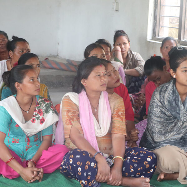 मुक्ति टोलवासीको प्रश्न ‘छाडा चौपायाबाट कहिले मुक्ति पाउँछौ’