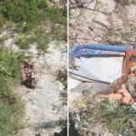 बैतडीमा ट्याक्टर दुर्घटना हुँदा एक जनाको मृत्यु