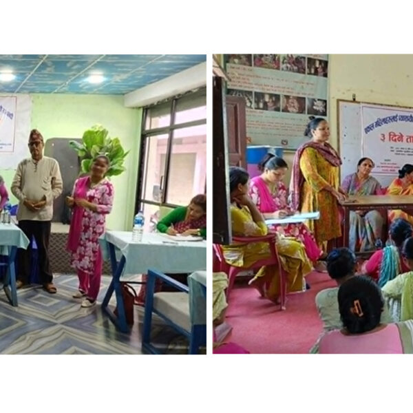 गोदावरीमा एकल महिलाहरुका लागि व्यावसायिक बेसार खेती तालिम सुरु