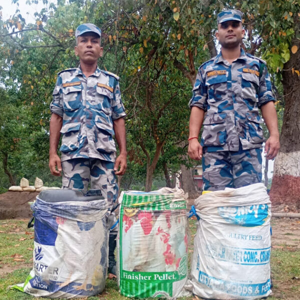 भारतबाट लुकिछुपी नेपाल ल्याइदै डिजेल