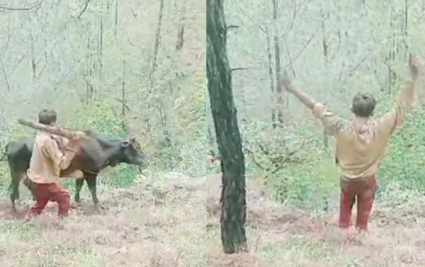 बैतडीमा गोरुमाथि कुटपिट गरेर भिरबाट फाल्ने बालक पक्राउ