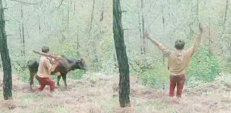 बैतडीमा गोरुमाथि कुटपिट गरेर भिरबाट फाल्ने बालक&hellip;