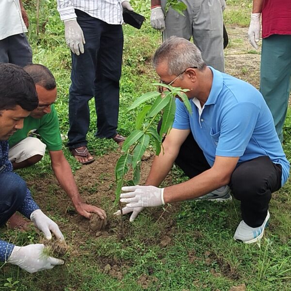 गोदावरी नगरपालिकाद्धारा विश्वविद्यालय परिसरमा वृक्षारोपण