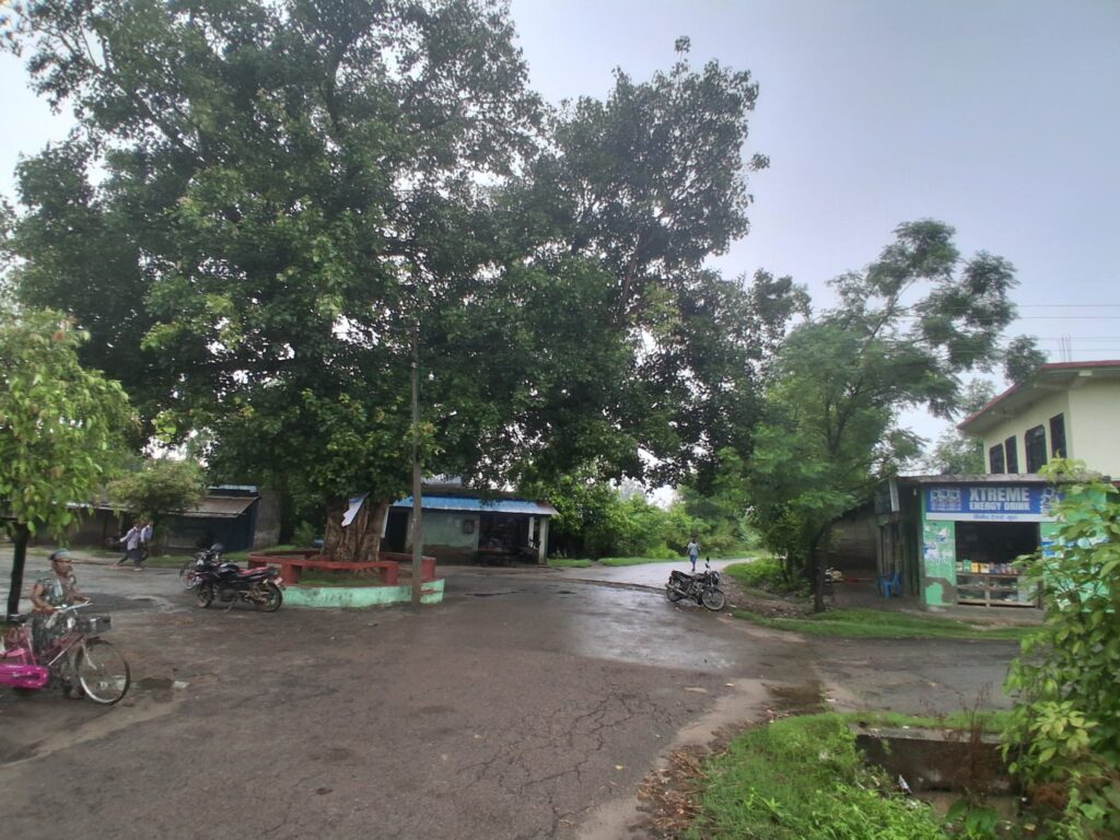 भारतसँग खुला सीमा जोडिएको बेलौरीको भुडामा चोरीका&hellip;