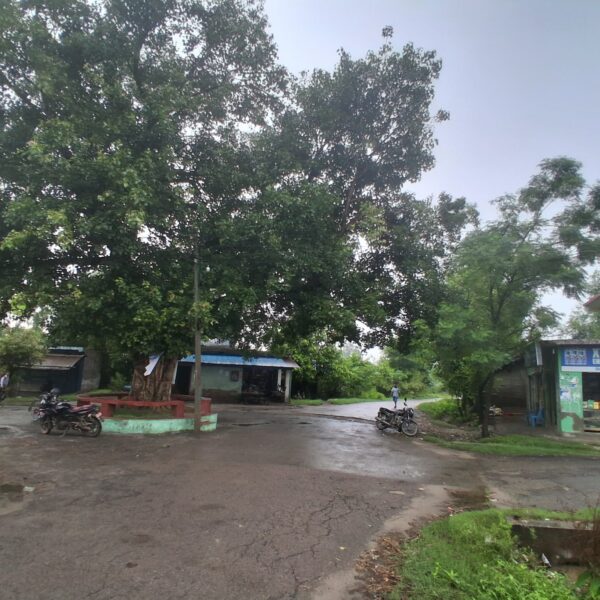 भारतसँग खुला सीमा जोडिएको बेलौरीको भुडामा चोरीका घटना बढ्दै 