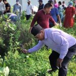 सहिद दशरथ चन्द स्वास्थ्य विज्ञान विश्वविद्यालय परिसर सरसफाई अभियानमा गोदावरी नगरपालिका पनि सहभागी