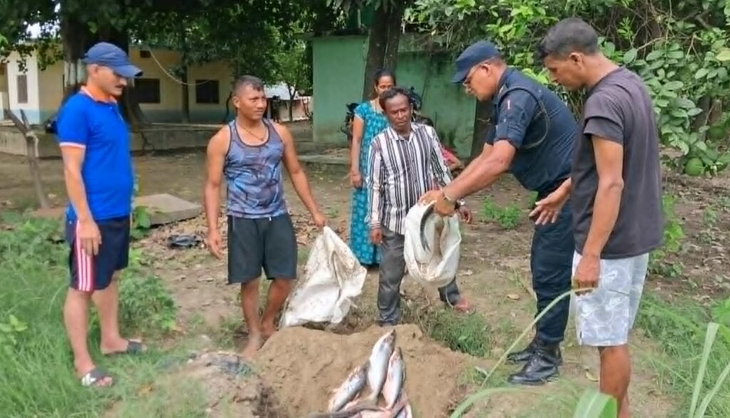बेलौरीमा अवैध रुपमा भित्र्याईएका डेढ क्विन्टल बढी&hellip;