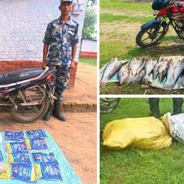 सीमामा एक्टिभ सशस्त्र प्रहरी, एकै दिन लाखौं मुल्यका तस्करीका समान बरामद