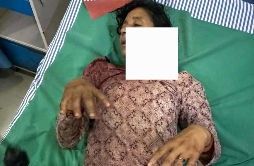 घर नजिकै घाँस काटिरहेकी बेलडाँडीकी धानादेवी बाघको आक्रमणबाट घाइते 