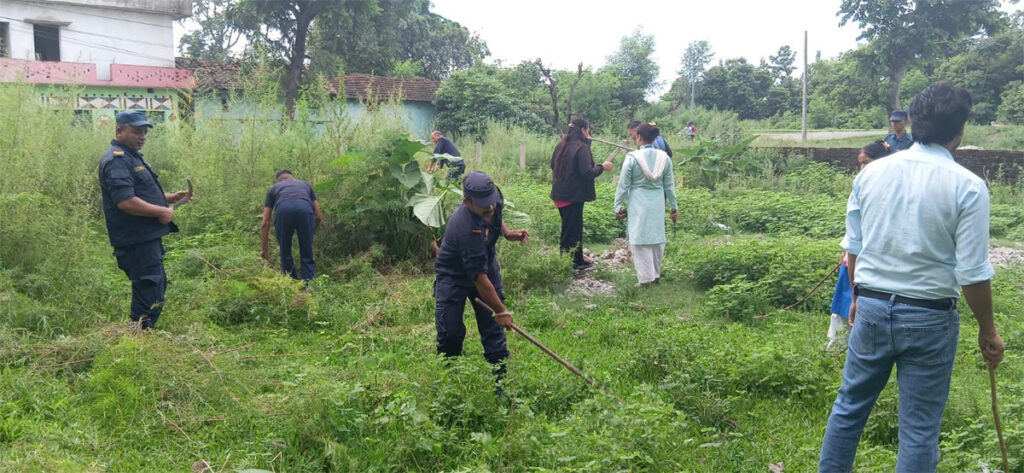 गाँजा फडानी अभियानमा कञ्चनपुर प्रहरी सक्रिय