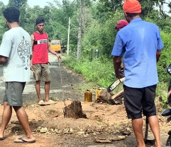 विपद् पूर्व तयारीमा धनगढी–१२, सुकेका रुख हटाइयो