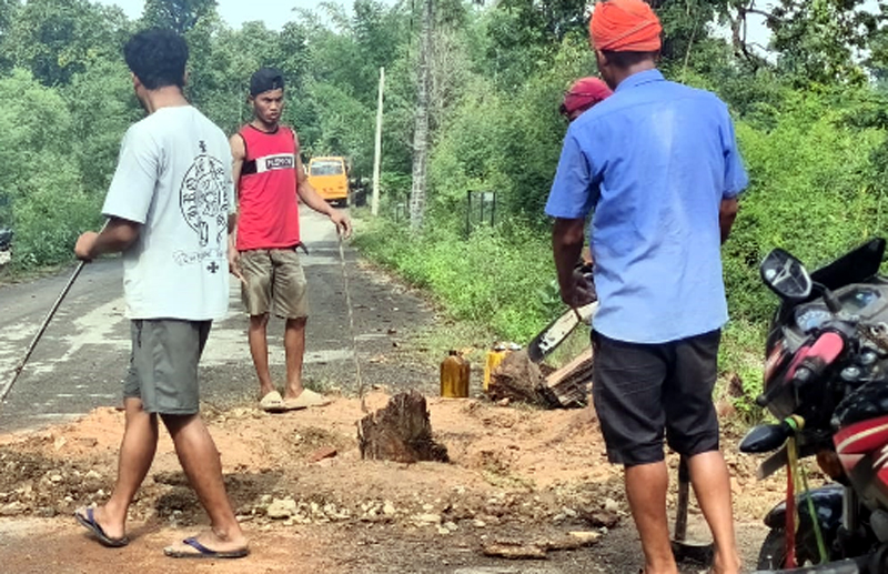 विपद् पूर्व तयारीमा धनगढी–१२, सुकेका रुख हटाइयो
