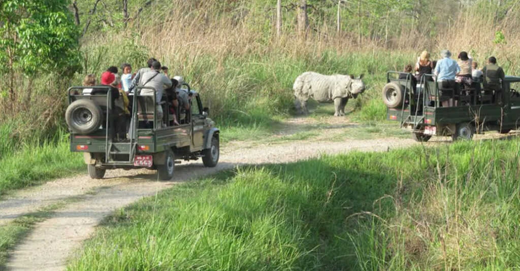 शुक्लाफाँटामा जंगल सफारी बन्द, बर्खापछि खुल्ने