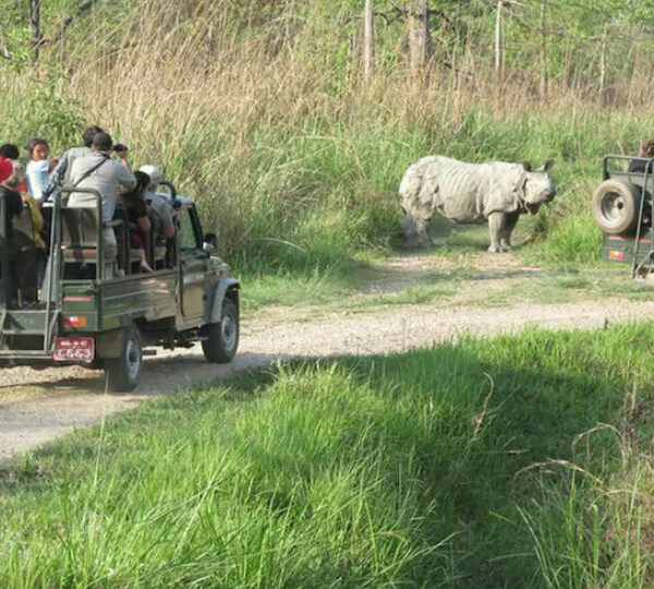 शुक्लाफाँटामा जंगल सफारी बन्द, बर्खापछि खुल्ने