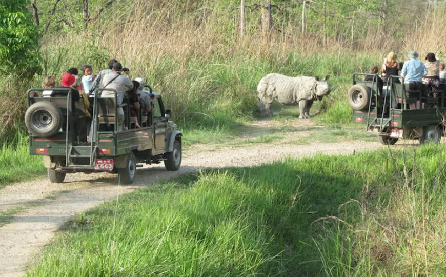 शुक्लाफाँटामा जंगल सफारी बन्द, बर्खापछि खुल्ने