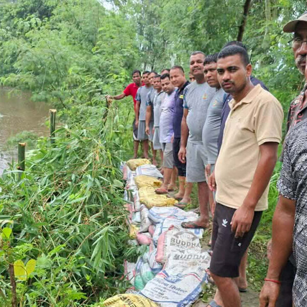 बेलौरीमा स्थानीय र सुरक्षा निकायको सहभागितामा जैविक तटबन्ध निर्माण