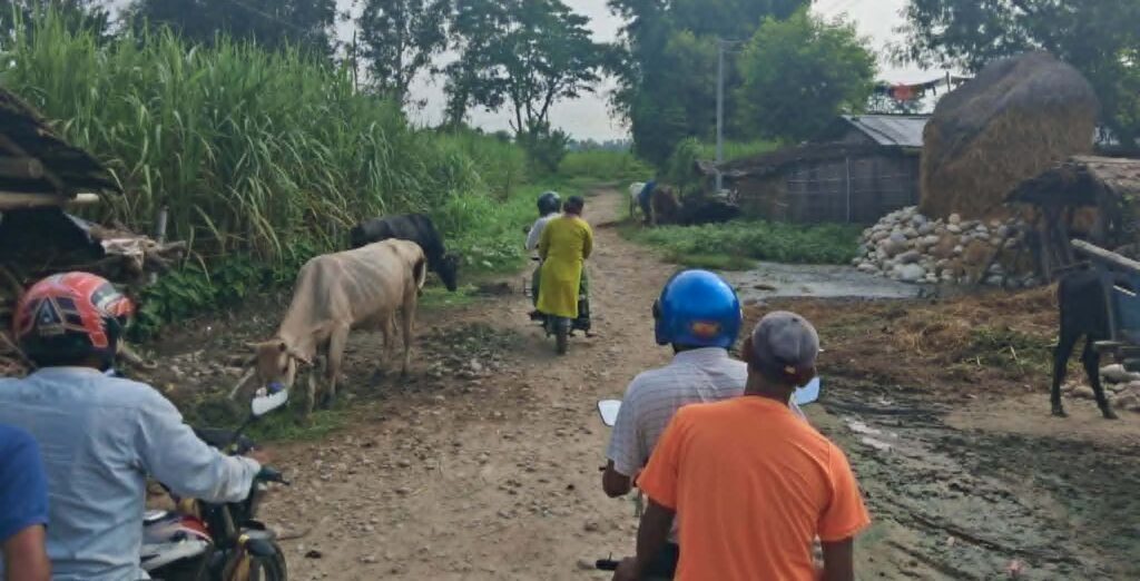 बेलौरी नगरपालिका– १० का भित्री सडकहरुको अनुगमन&hellip;
