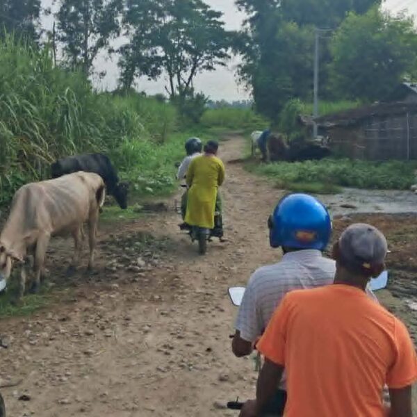बेलौरी नगरपालिका– १० का भित्री सडकहरुको अनुगमन (फोटो फिचर)