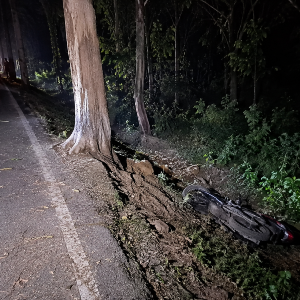कैलालीमा सालको रुखमा ठोक्किएर मोटरसाइकल दुर्घटना, चालकको मृत्यु