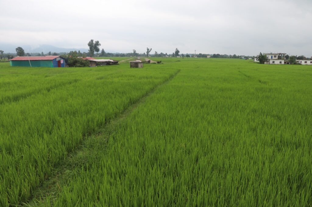 महाकाली सिँचाइको गोदावरी क्षेत्रमा मुआब्जा विवाद, काम&hellip;