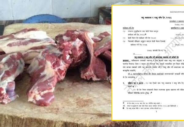 पशु वधशाला र मासु जाँच ऐन नेपाल राज्यभर लागू गरिने, यस्तो छ प्रावधान