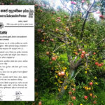 बाजुरा, बझाङ र दार्चुलाको स्याउ ढुवानी र बजारीकरण सहज बनाउन चेम्बरको माग