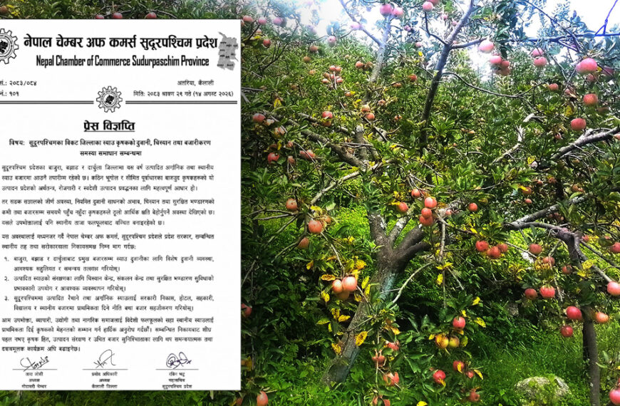 बाजुरा, बझाङ र दार्चुलाको स्याउ ढुवानी र बजारीकरण सहज बनाउन चेम्बरको माग