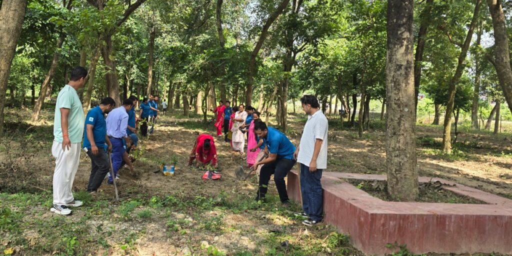 एनएमबी लघुवित्त स्याउले शाखाद्धारा वृक्षारोपण कार्यक्रम आयोजना
