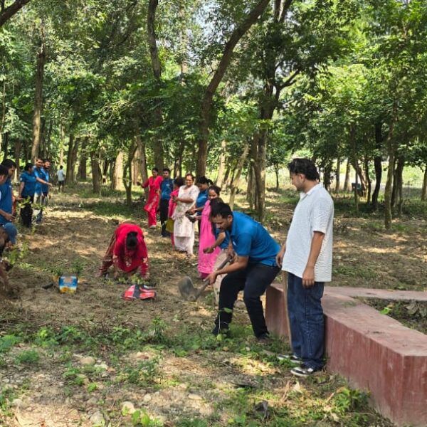 एनएमबी लघुवित्त स्याउले शाखाद्धारा वृक्षारोपण कार्यक्रम आयोजना