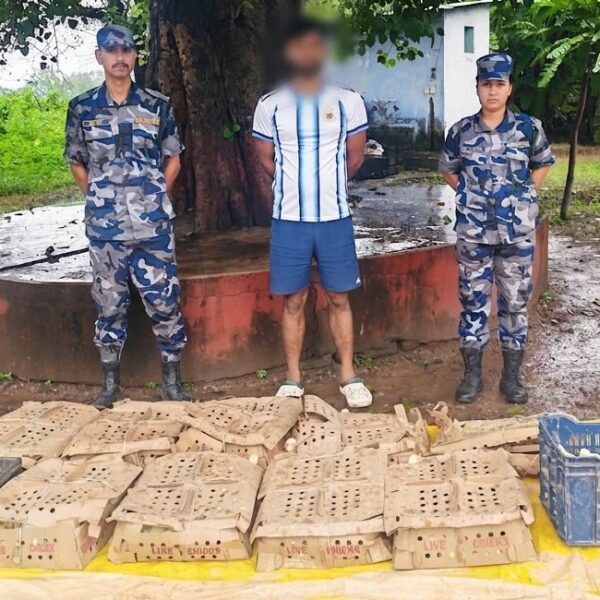 बेलौरीबाट सशस्त्र प्रहरीद्धारा कुखुराका चल्ला, माछा सहित १ जना पक्राउ
