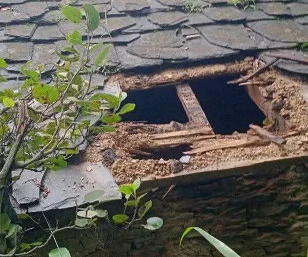 बैतडीमा चोरीको आरोपमा वडा सदस्य पक्राउ
