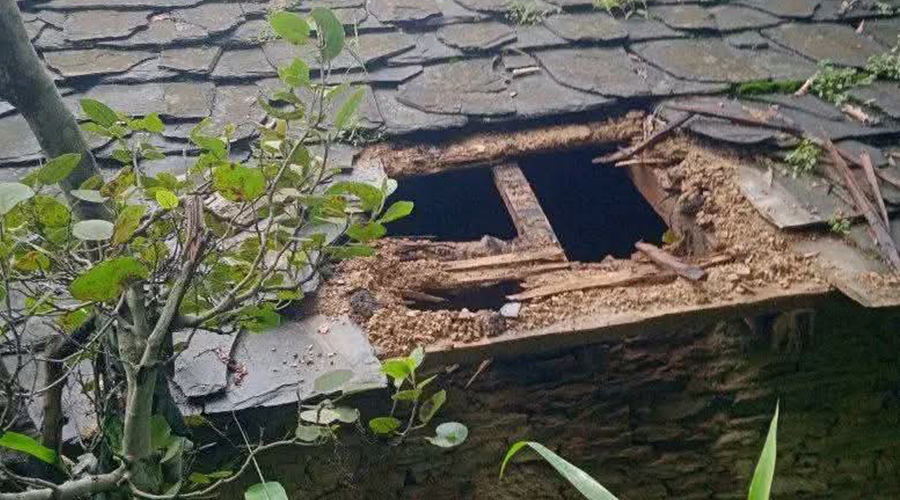 बैतडीमा चोरीको आरोपमा वडा सदस्य पक्राउ