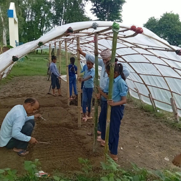 दिवा खाजाका लागि विद्यालय हाताभित्रै करेसाबारी