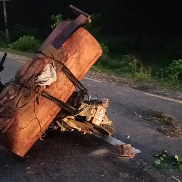 कैलालीमा सालको काठ र दुई मोटरसाइकल सहित एक जना पक्राउ, एक फरार
