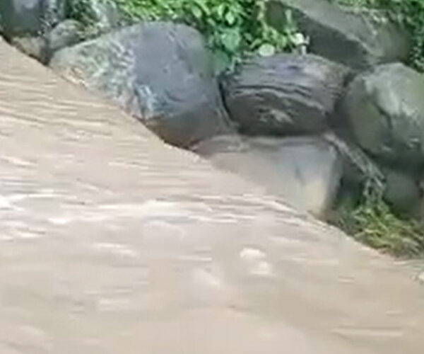 माछा मारिरहेकी महिलालाई खोलाले बगायो