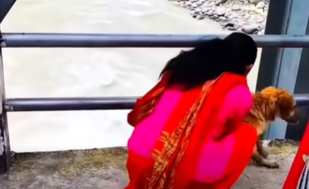 जिउँदो कुकुरलाई नदीमा फालेको भिडियो भाइरल 