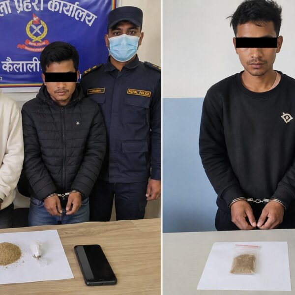 कैलालीमा ब्राउनसुगर सहित चार जना पक्राउ