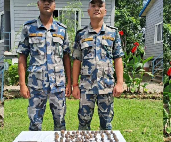 कैलालीमा कटुवा पेस्तोल र एक किलो चरेस बरामद