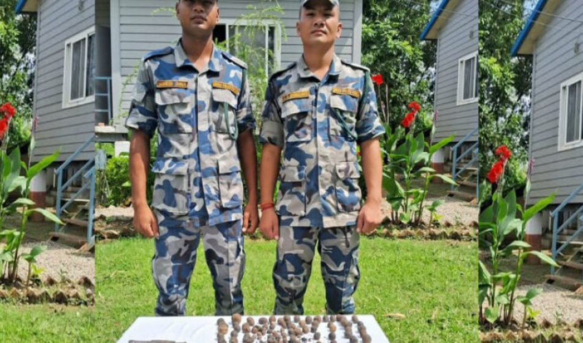 कैलालीमा कटुवा पेस्तोल र एक किलो चरेस&hellip;