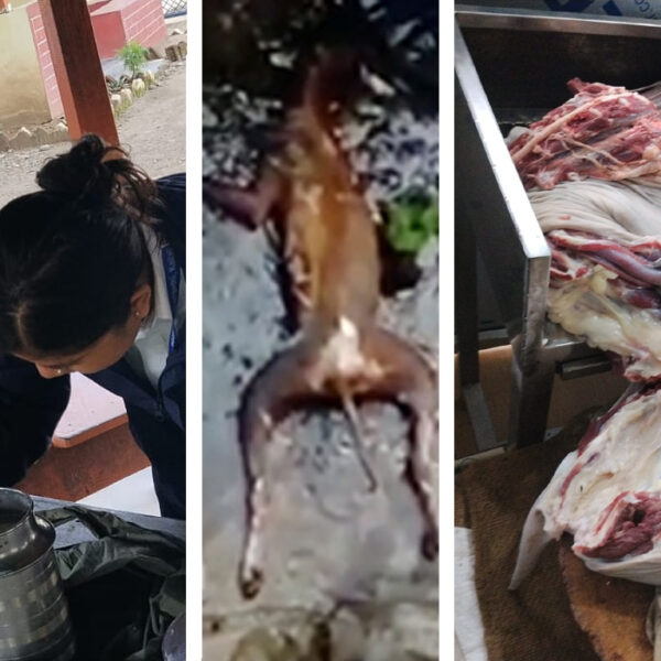 उपभोक्ताको स्वास्थ्यमा गम्भीर खेलबाड, हुँदैन नियमित अनुगमन