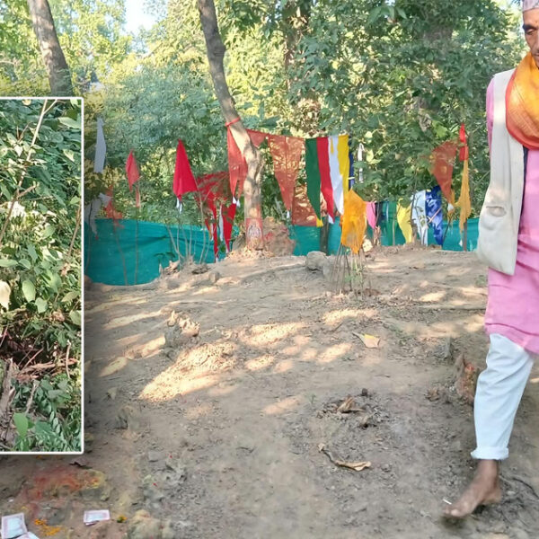 अत्तरियामा वनभित्र भगवान् भेटिएको भन्दै रातारात पिल्लर गाडिए