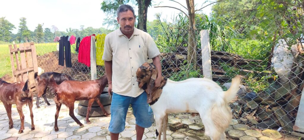 पत्रकारितापछि व्यवसायीक बाख्रापालनमा जमेका लोकेश