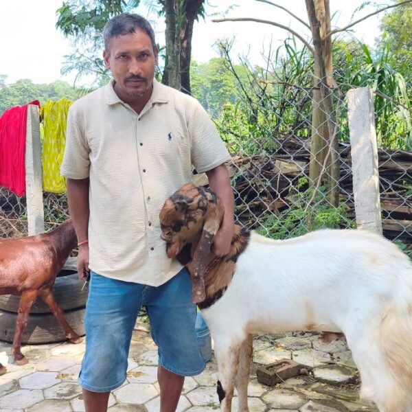 पत्रकारितापछि व्यवसायीक बाख्रापालनमा जमेका लोकेश