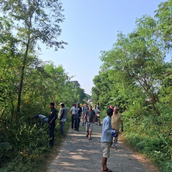 दुर्घटनाको जोखिमलाई मध्यनजर गर्दै बेलौरीमा सडक किनारका झाडी सफाइ गरिए